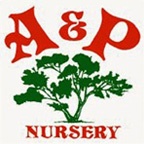 APNursery